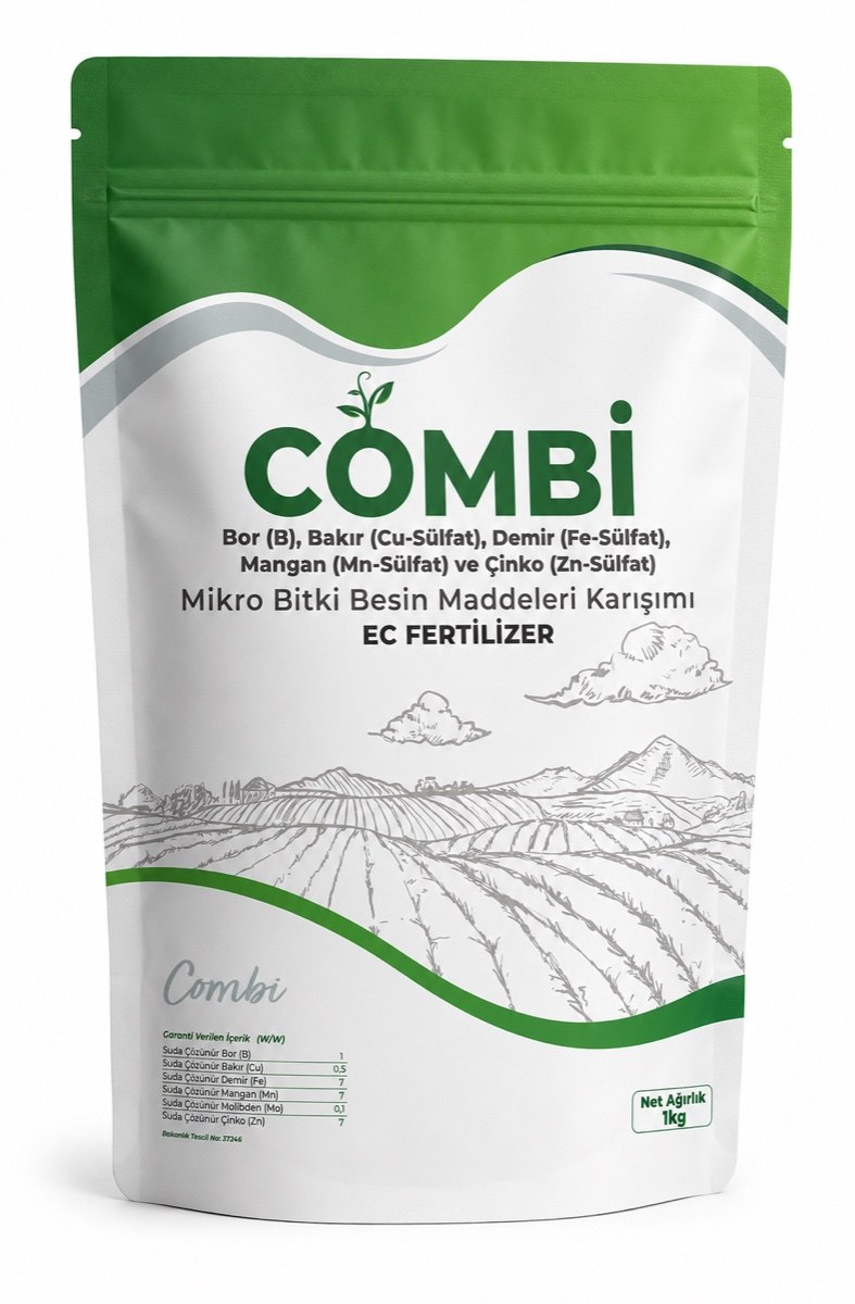 Combi